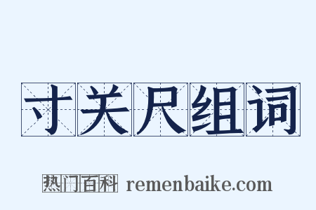寸关尺组词是什么意思的图片